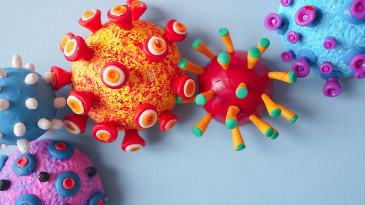 What Happens to a Child’s Immune System in September?