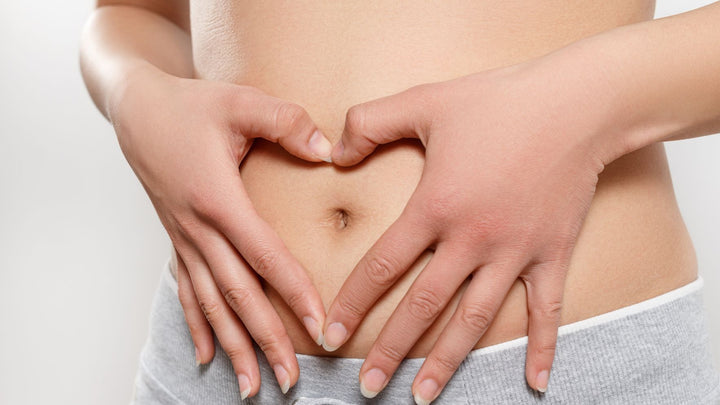 Understanding Iron Metabolism in PCOS/PMOS and the Role of Lactoferrin