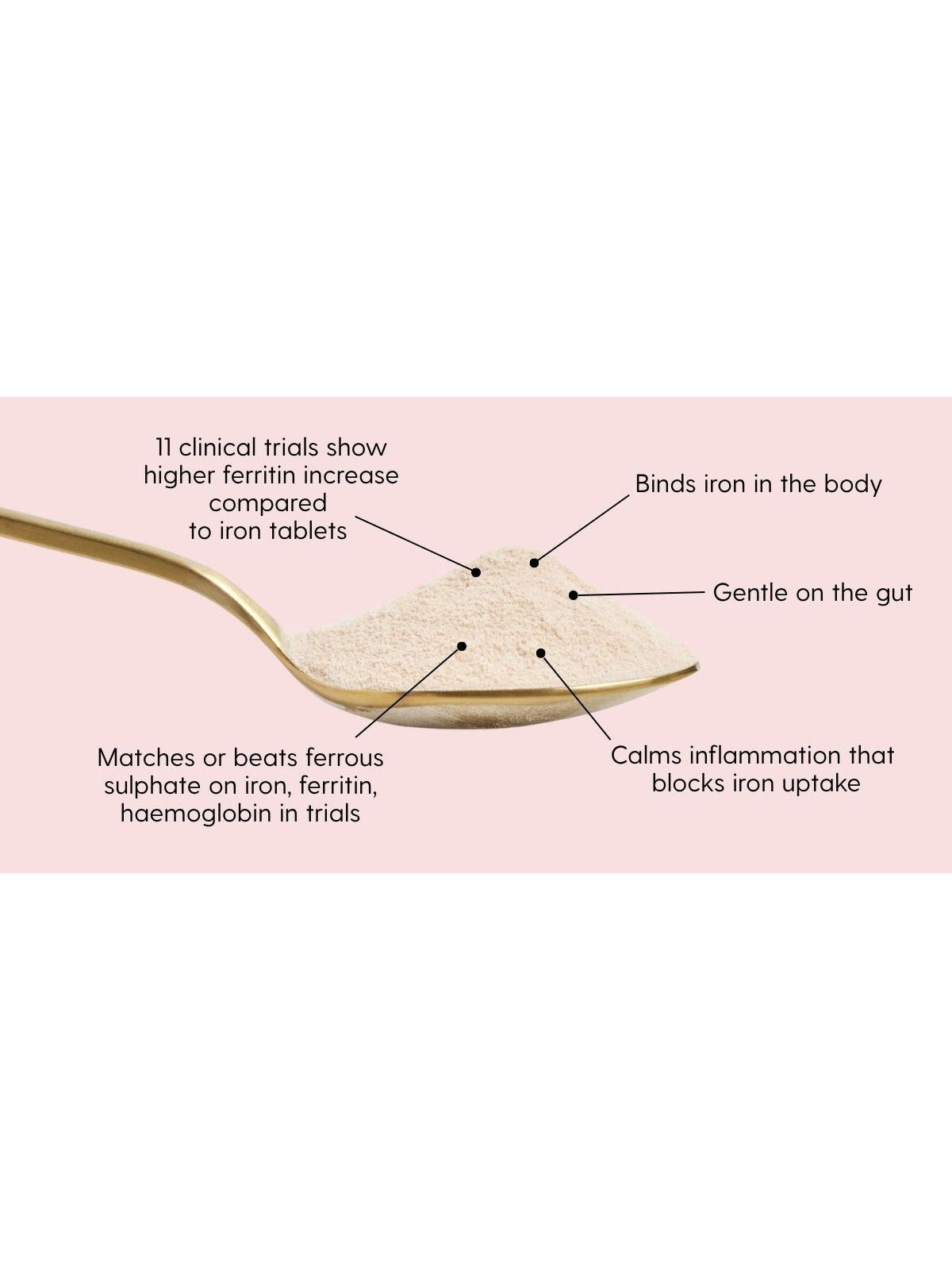 How lactoferrin helps with iron balance in the body