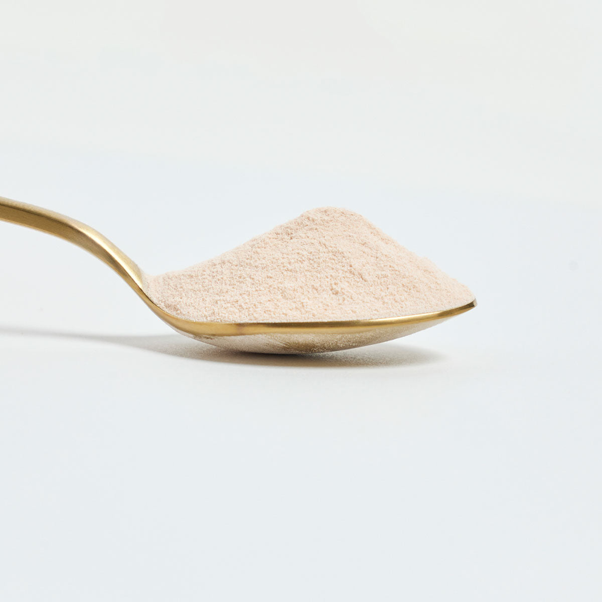 Lactoferrin